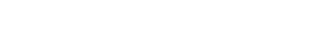 netcompany