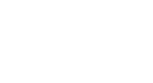 Timeline