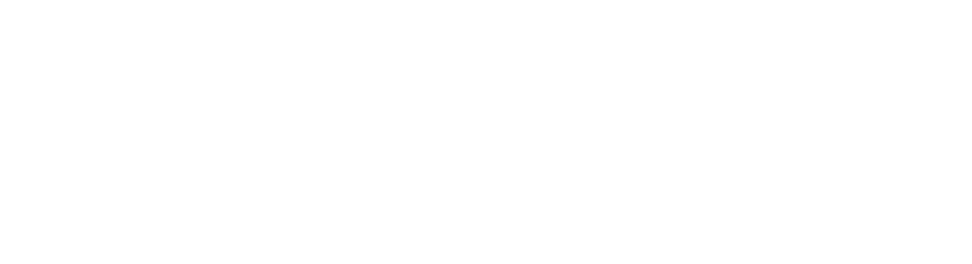 Timeline